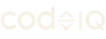CodeIQ