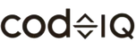 CodeIQ